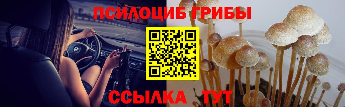 Псилоцибиновые грибы Psilocybine cubensis  Вход с VPN  купить наркотики сайты  Ревда 